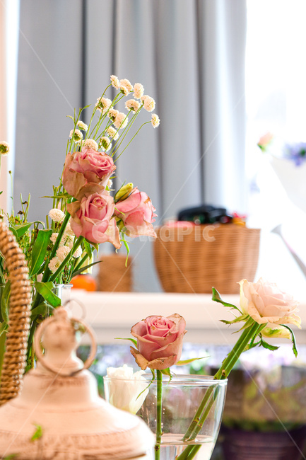 꽃,plant,식물,blossom,장미,rose,flower,실내용화초,화분,화초,house plant