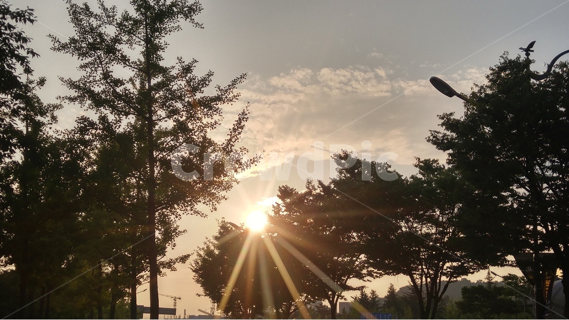 두류공원,대구노을,두류공원노을,노을,해질녁,감성사진,힐링사진,저녁,햇살,자연,풍경,nature,landscape,flare,플레어,light,빛