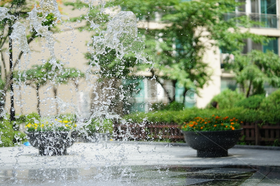 분수,물,물줄기,여름,계절,water,순간,순간포착,더위,summer,여름,계절,summer,season,fountain