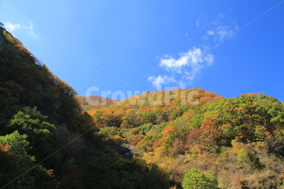 nature,가을산,가을색,하늘,아름다운산,가을,계절,fall,autumn,season,자연,풍경,nature,landscape,outdoors,옥외