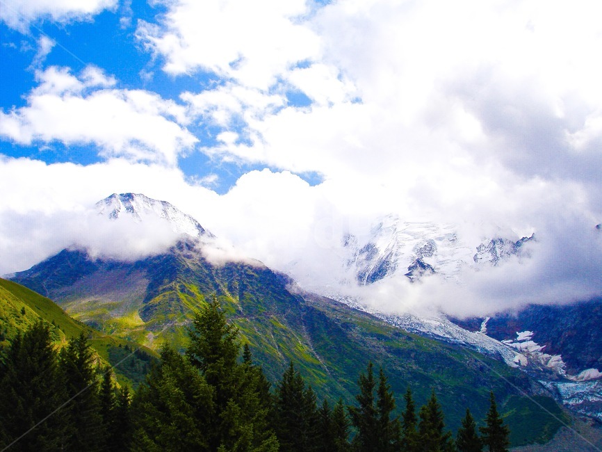 프랑스,샤모니,몽블랑,산,구름,france,chamonix,mountain,cloud,montblanc,고요함,tranquility,자연,풍경,nature,landscape,해외,외국,세계,foreign,oversea,world,세계자연풍경,해외자연풍경,외국자연풍경,world nature landscape,tree,나무,plant,식물,fir,전나무,abies,아비