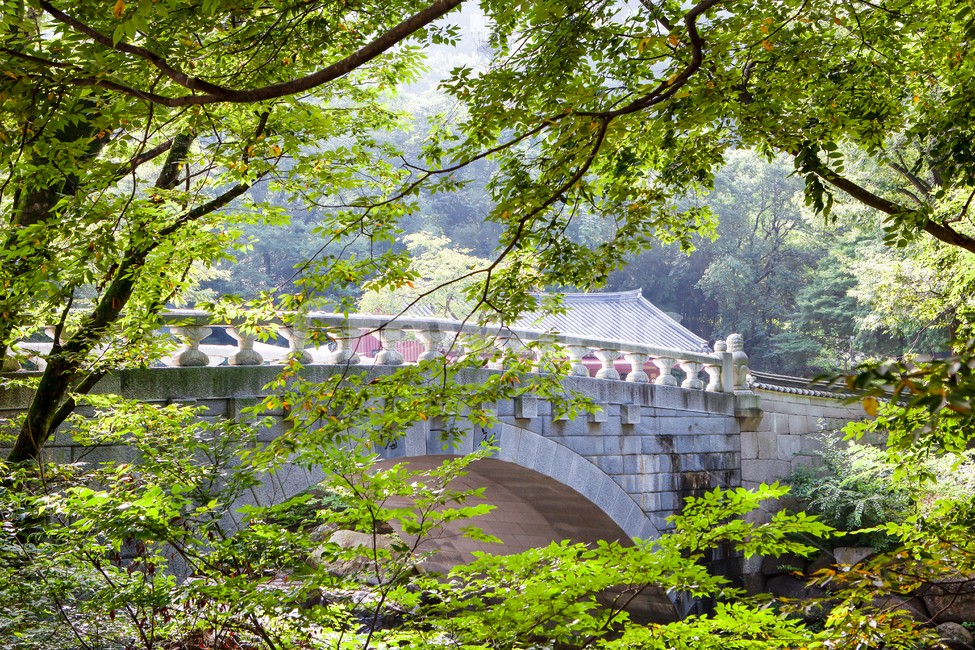 tree,plant,식물,treetrunk,나무줄기,bridge,건물,건축,다리,돌다리,화강암,구례,화엄사,구례화엄사,고찰,절,나무,하천,불교,architecture,inheritance,산사,temple