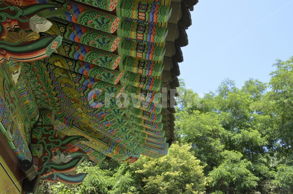 한옥,traditional,단청,landscape,exterior,building,structure,architecture,construction,koreaculture,한국,건축물,절,전통,화려함,temple,한국전통,한국문화,korean traditional,korean culture,건축물,건물외관,exterior,building,structure,architecture,construction