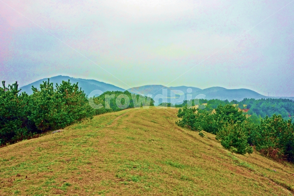 제주도,아부오름,정상,나무,언덕,산,오름,화산,흰,구름,흐린,하늘,제주,제주여행,제주도여행,여행,자연,풍경,경치,아름다운,전망,그림,같은,뷰,한적,여유,힐링,휴가,자연,풍경,nature,landscape,outdoors,옥외,hill