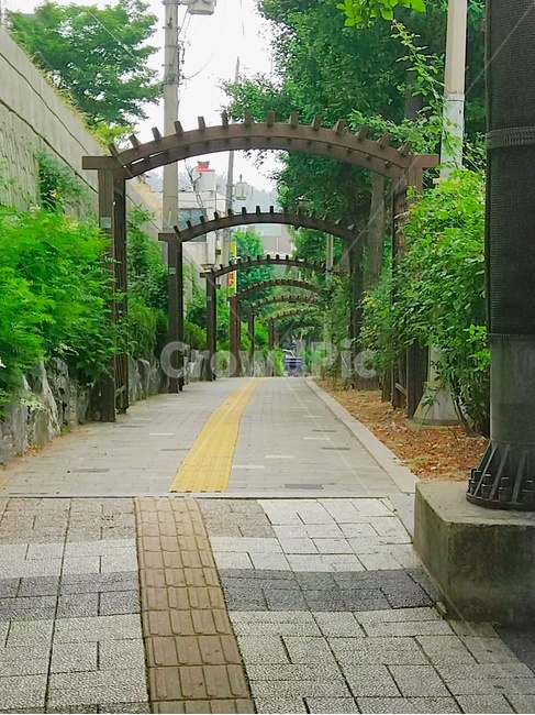 archway,trail,passageway,walking path,ivy road,pretty road,arcade,pillar road