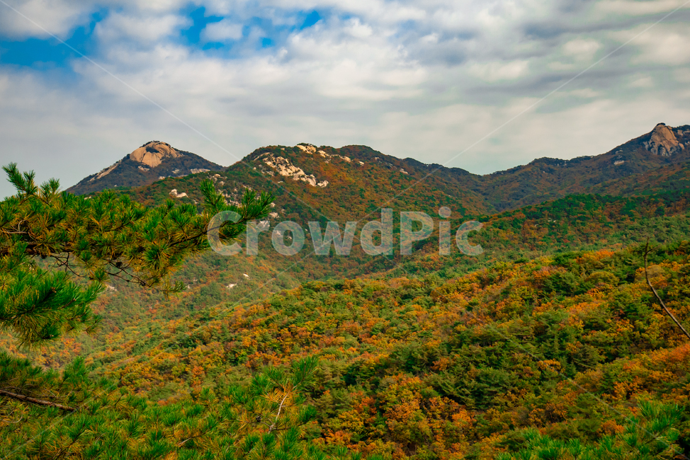 산,가을,자연,풍경,나무,배경,한국자연풍경,nature,mountain,tree,sky,fall,구름,outdoors,옥외,언덕,hill