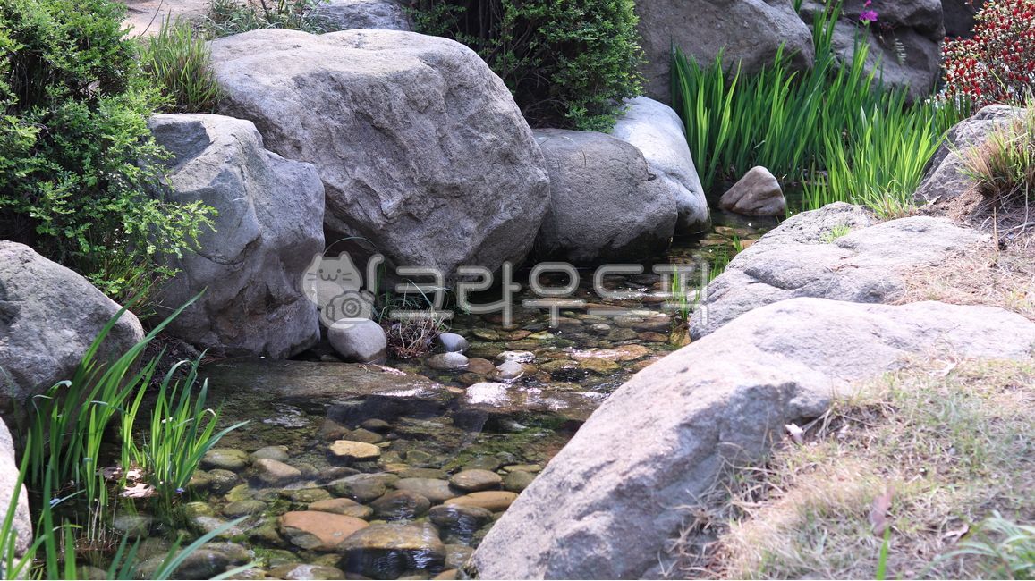 식물,물,연못,정원,돌,outdoors,자연,water
