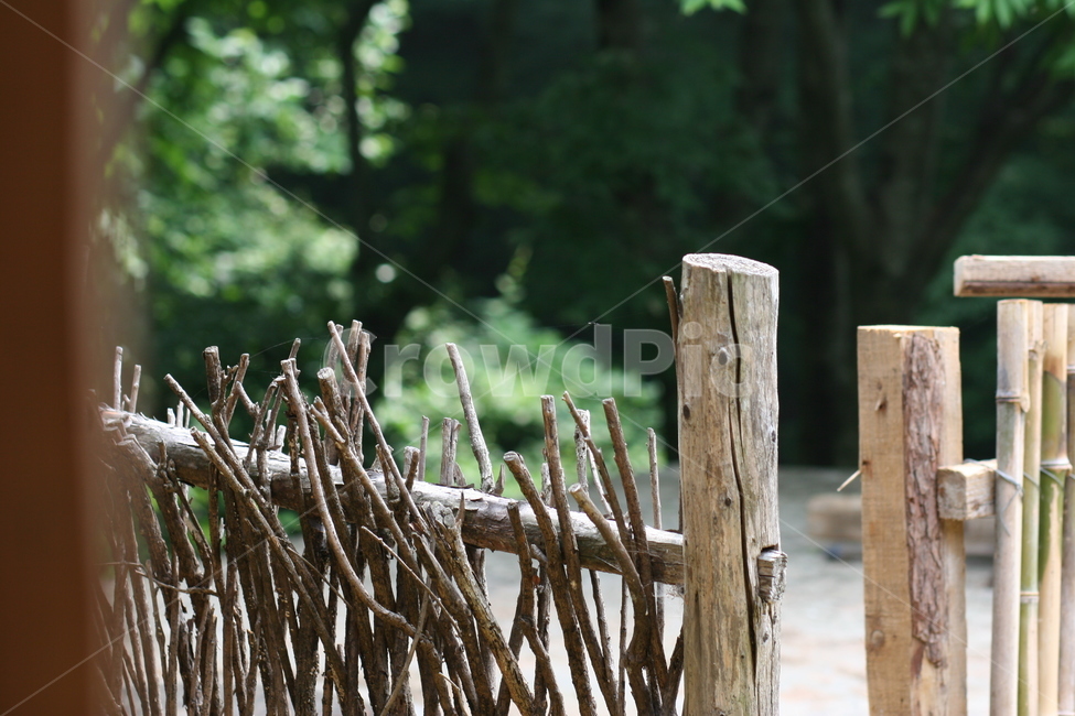 싸릿문,나무줄기,나무기둥,과거,역사,나무,wood,유물,고대