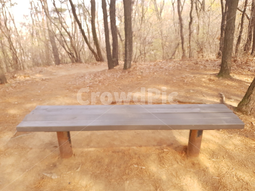 산,벤치,휴식,bench,wood,나무