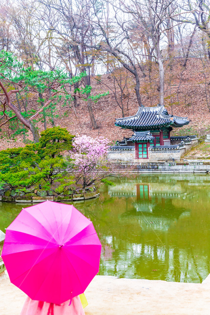 연못,고궁,부용정,봄,창덕궁,힐링,후원,양산,반영,한국전통,한국문화,korean traditional,korean culture,한복,한국전통의상,hanbok,korean traditional clothes,랜드마크,landmark,tourist attraction,한국랜드마크,한국관광지,한국명소,korea landmark,korea tourist attraction,사람,인물,인간,human,person,여성,여자,woman,female,lady