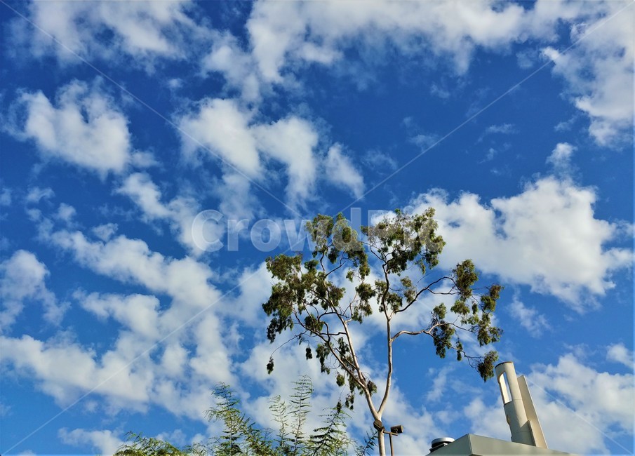 하늘,구름,풍경,파란하늘,sky,외국하늘