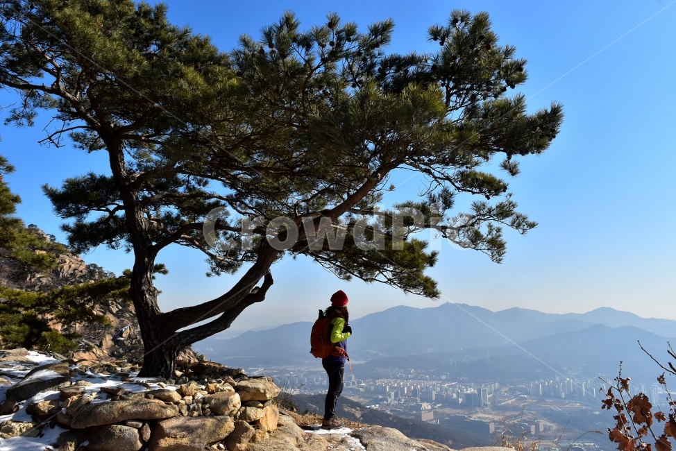 관악산,풍경,겨울,자연,눈,스포츠,등산,산행,nature,snow,겨울풍경,느낌,아름다운,신비로운,경이로운,기암,바위,암봉,암릉,다큐,필,힐링,명산,landscape,winter,season,트레킹,100대명산,인기명산,조망,전망,정부청사,6봉,수목원능선,바윗길,암릉길,명품송,소나무,한국자연풍경,한국자연경관,korea,관양능선,팔봉능선,국기봉,겨울,계절,winter,season,식물,자연,plants,nature,나무,trees,wood,사람,인물,인간,human,person,여행,휴가,traveling,vacation,trip,스포츠,레저,운동,sports,leisure,exercise