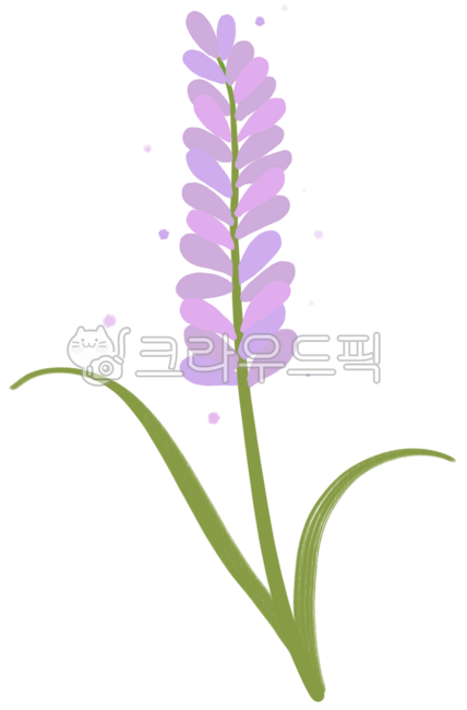 러벤더,라벤더일러스트,라벤더꽃,lavender,라벤더손그림,식물,꽃,꽃일러스트,일러스트,허브,허브꽃,라벤더허브,꽃병,꽃병일러스트,라벤더꽃병,보라색꽃,보라색라벤더,바이올렛,수채화,수채느낌,장식,배경,꾸미기,디자인요소,디자인소스,꽃선물