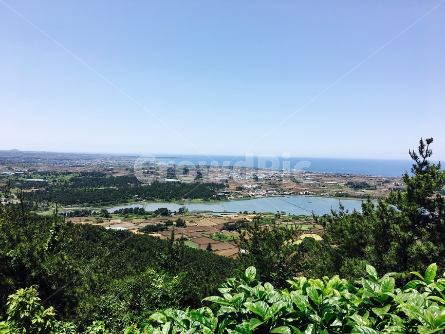 제주도,지미오름,성산뷰,봄제주,등산,바다뷰,자연,풍경,nature,landscape,제주도,jeju,jeju island,경치,outdoors,옥외,scenery,vegetation,초목,plant,식물