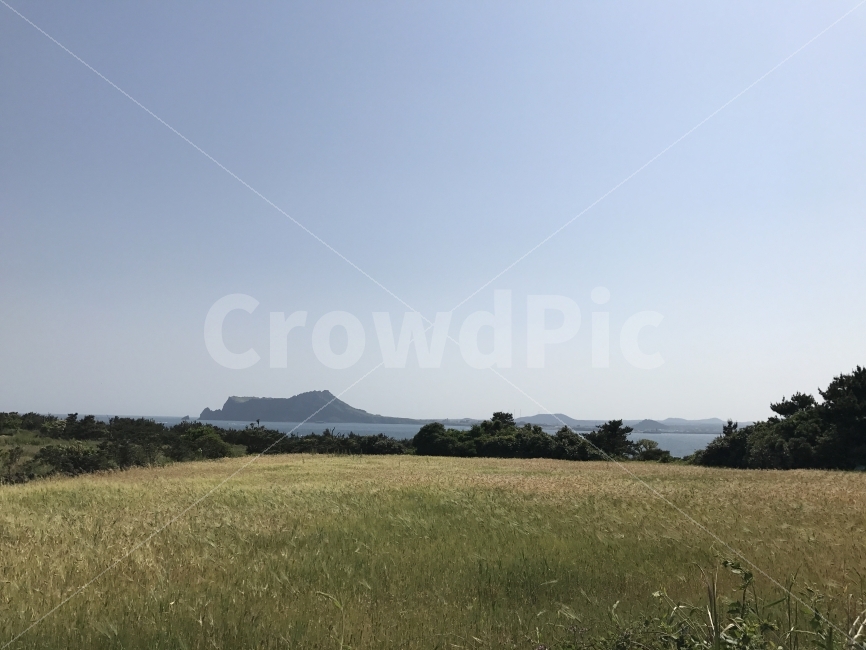 자연,감성,제주,풍경,원본,무보정,자연,풍경,nature,landscape,제주도,jeju,jeju island,outdoors,옥외,field,들,grassland,목초지