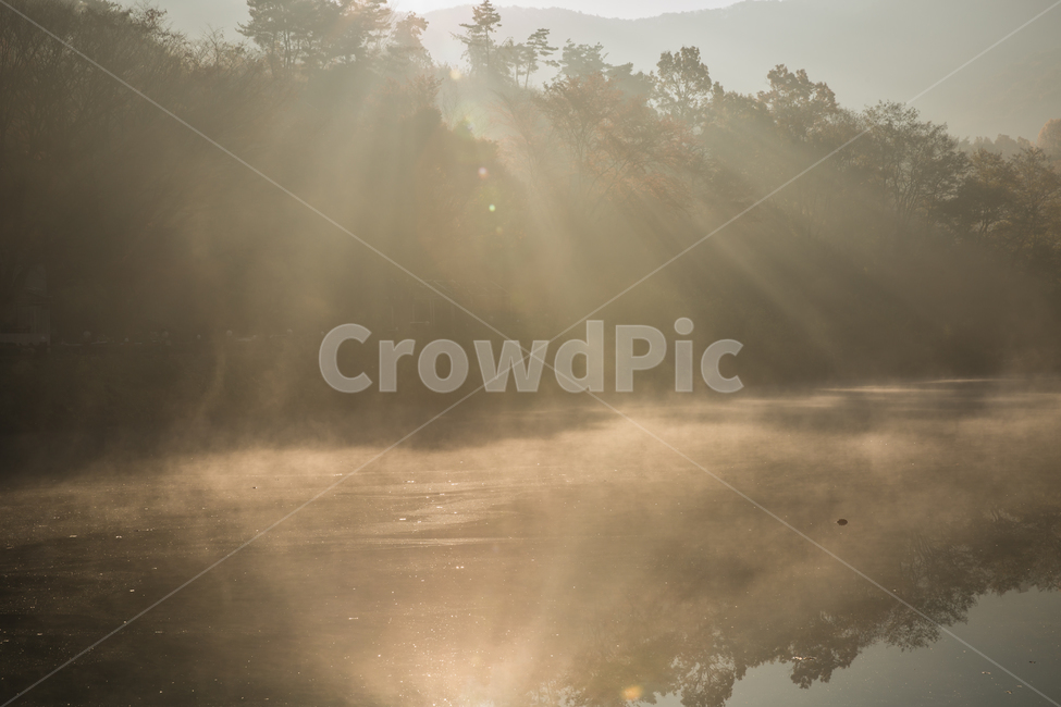 빛내림,가을,단풍,낙엽,일출,햇살,가을,계절,fall,autumn,season,자연,풍경,nature,landscape,한국자연풍경,한국자연경관,korea nature landscape,weather,날씨,outdoors,옥외,mist,안개,fog