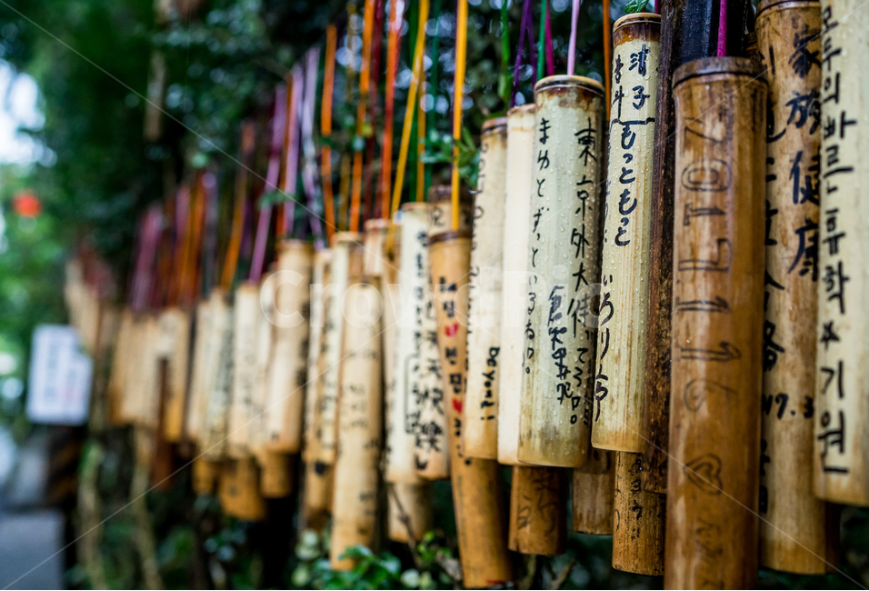 명패,소망명패,소망,소원,나무명패,스펀,절,nameplate,대만,타이베이,taiwan,taipei,종교,신앙,religion,belief,faith