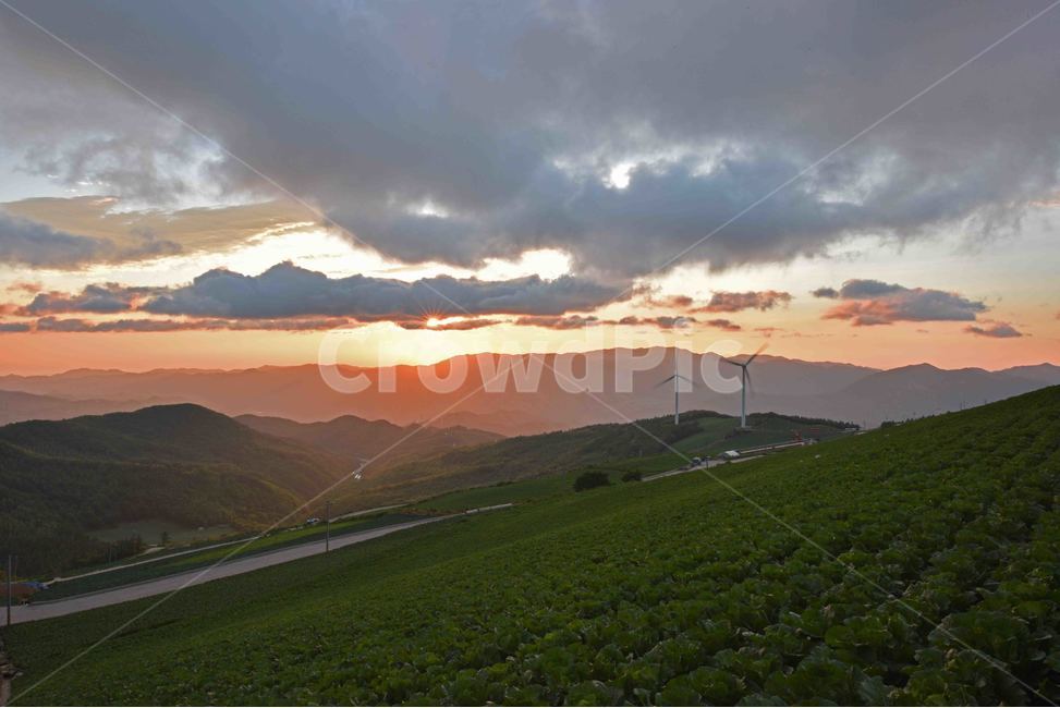일출,매봉산일출,sunrise,sunup,해돋이,매봉산,풍경,자연,감성