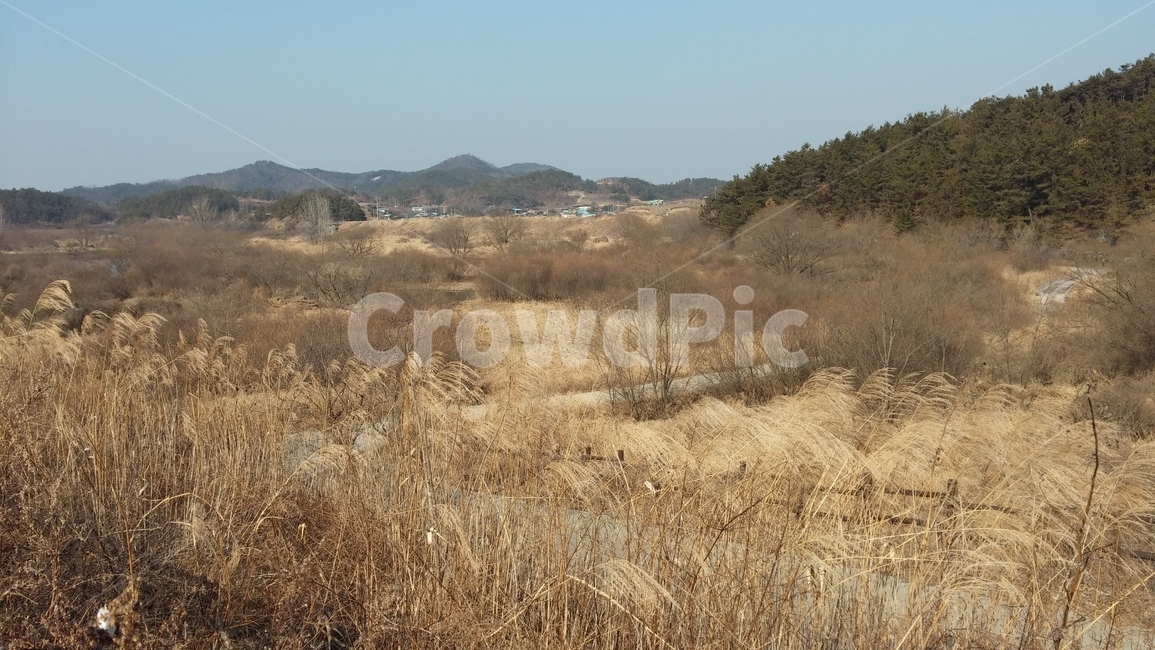 우포,우포늪,창녕,길,거리,시골,마을,풍경,landscape,country,rural,town