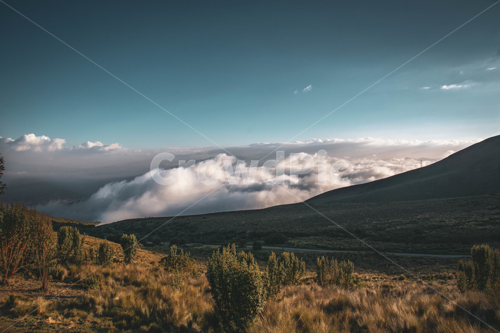 배경,하늘,구름,산,자연,남미,감성,가을,landscape,sky,cloud,mountain,nature,southamerica,fall,weather,자연,풍경,nature,landscape,해외,외국,세계,foreign,oversea,world,세계자연풍경,해외자연풍경,외국자연풍경,world nature landscape,tree,나무,plant,식물,outdoors,옥외,abies,아비,fir,전나무
