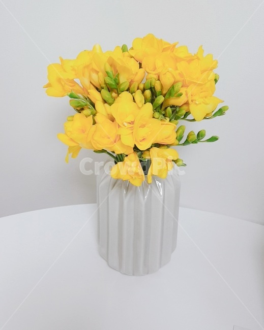 꽃,flower,프리지아,freesia,노란꽃,yellow