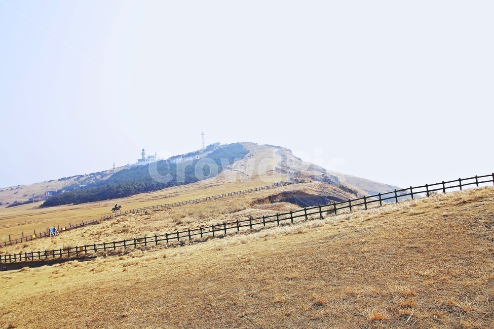 제주,오름,산책로,jeju,언덕,hill,trail,volcaniccone,자연,풍경,nature,landscape,제주도,jeju,jeju island,outdoors,옥외,dirt road,흙길,road,도로,gravel,자갈