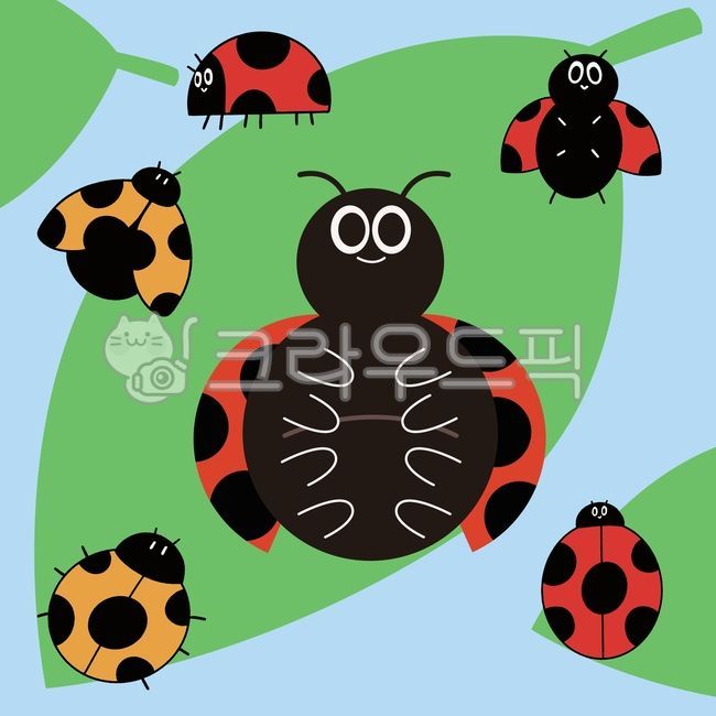 ladybug,insect,cute,spring,bug