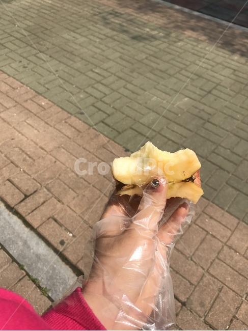 반쪽사과,사과,먹던사과,과일,비닐장갑,아침사과,꿀사과,달콤한,새콤한,건강과일,음식,디자인,소스,배경,식물,요리,food,cook,meal,fruit,apple