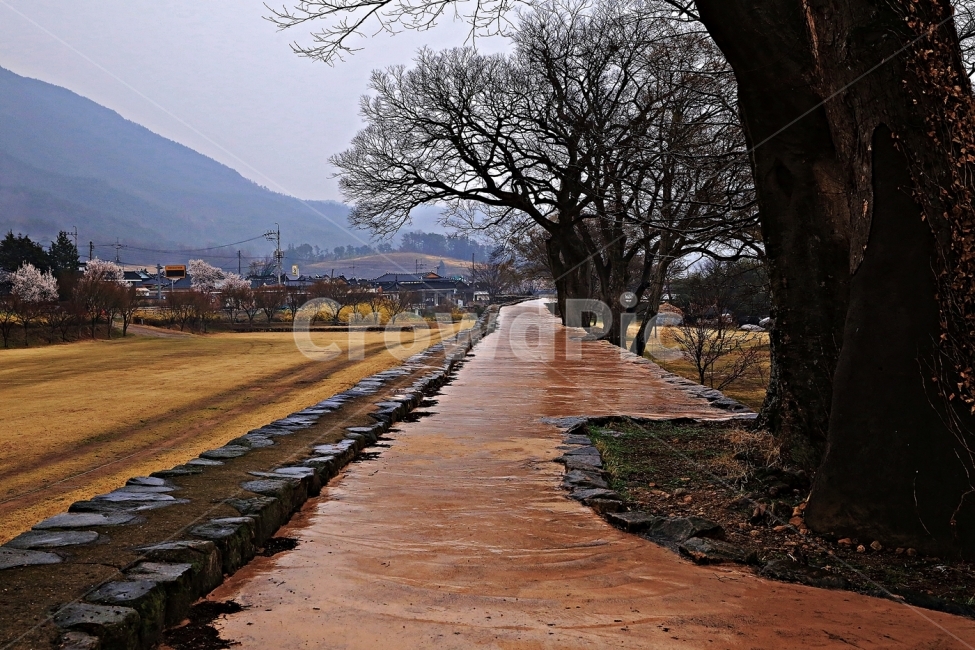 낙안읍성,순천,고향,순천여행,향수,자연,풍경,nature,landscape,한국자연풍경,한국자연경관,korea nature landscape,시골,마을,country,rural,town,path,통로