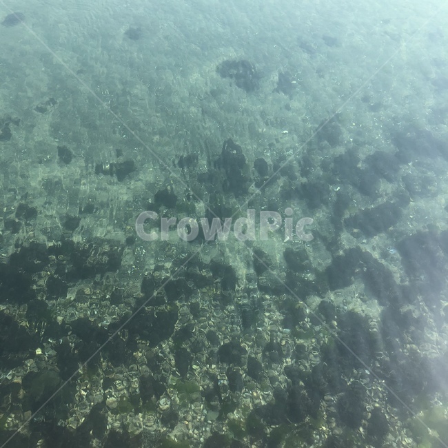 바다,제주,제주도,바닷물,맑은물