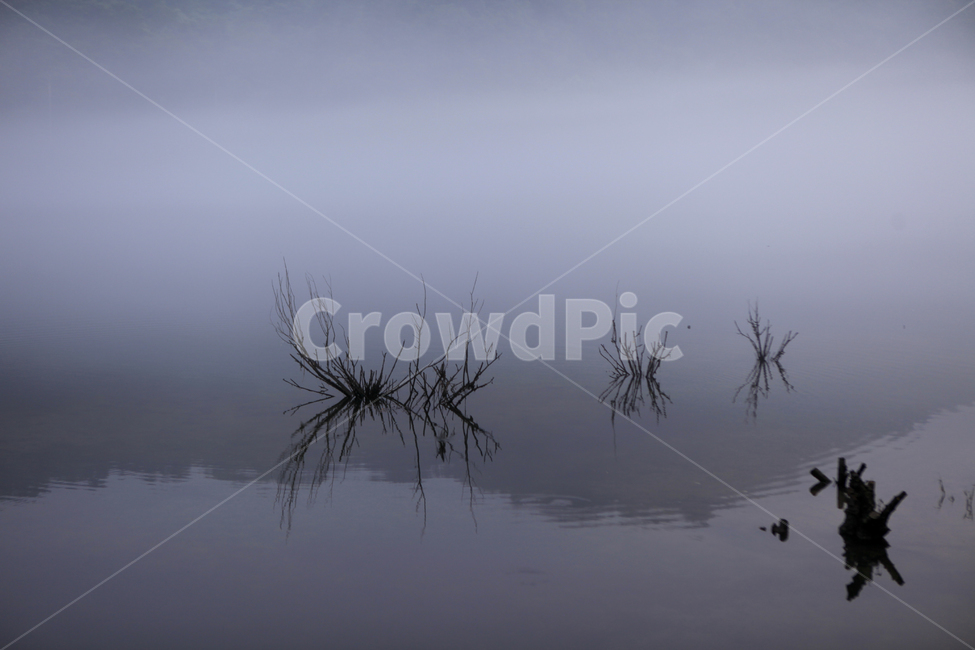 호수,호숫가,물안개,반영,대청호수,자연,풍경,nature,landscape,한국자연풍경,한국자연경관,korea nature landscape,weather,날씨,outdoors,옥외,fog,안개
