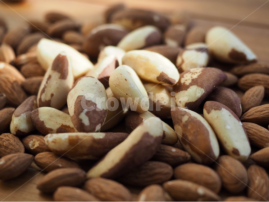 브라질너트,견과류,웰빙,음식,갈색,유기농,brazilnut,nuts,wellbeing,food,brown,organic,아몬드,너트,almond,nut,콩류,견과류,beans,pulse,nuts,dry fruits