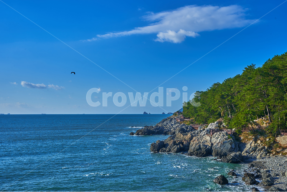 부산,바다,풍경,해운대,파도,하늘,여름,동백섬,자연,풍경,nature,landscape,한국자연풍경,한국자연경관,korea nature landscape,promontory,곶,bird,새,animal,동물