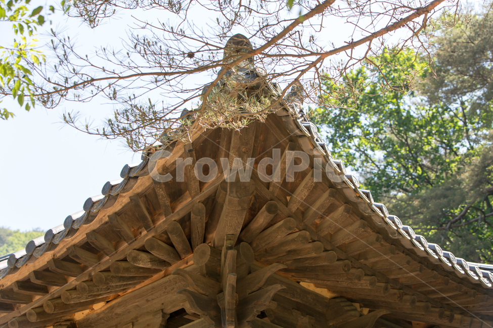 처마,무단청,추녀,문화유산,전통,한국전통,한국문화,korean traditional,korean culture,건축물,건물외관,exterior,building,structure,architecture,construction