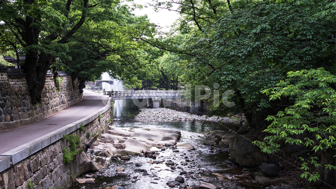 통도사,사찰,절,사찰풍경,풍경,절풍경,돌다리,여름,녹음,녹색,계곡,물,시냇물,자연,다리,tongdosa,temple,landscape,valley,stone bridge,summer,green,koreaculture