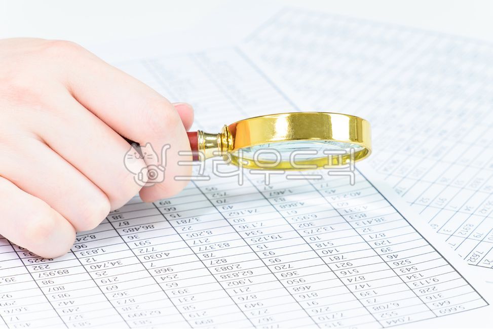 reports,charts,data,offices,numbers,taxes,Tax,accounting,office,bank,companies,financialstatements,estimate,funds,credit,budget,financial statements,estimates,profits,investment,tax,economy,transactions,economies,budgets,success,magnifier,expenses,enterpr