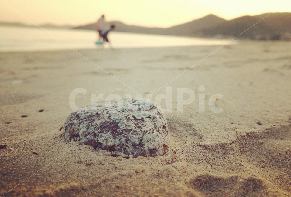 해변,바다,모래사장,여행,명사십리,완도,해수욕장,전남,전라남도,돌,모래,노을,sunset,sandybeach,travel,beach,landscape,sea,sun,자연,풍경,nature,landscape,해변,바다,beach,sea,outdoors,옥외,sand