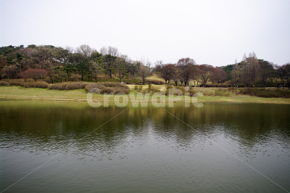 나무,공원,식물,plant,봄,spring,계절,호수,자연,풍경,nature,landscape,water,물,outdoors,옥외,land,땅