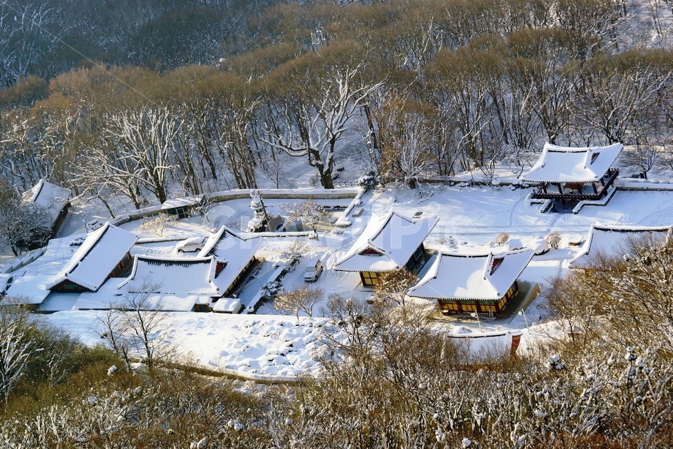 겨울,설경,벽련사,내장산,국립공원,사찰,겨울,계절,winter,season,한국전통,한국문화,korean traditional,korean culture,건축물,건물외관,exterior,building,structure,architecture,construction