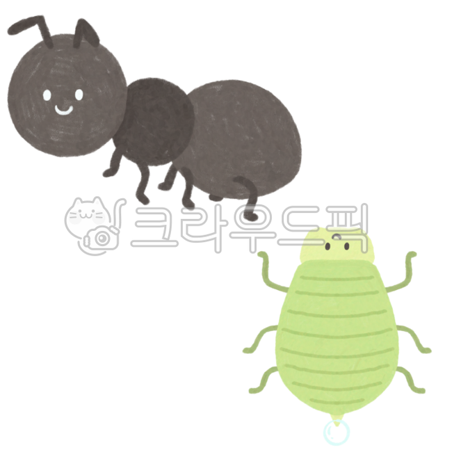 Insects,insect drawings,spring insects,spring,bugs,insect illustrations,ants,aphids,ant drawings,aphid drawings,ants and aphids