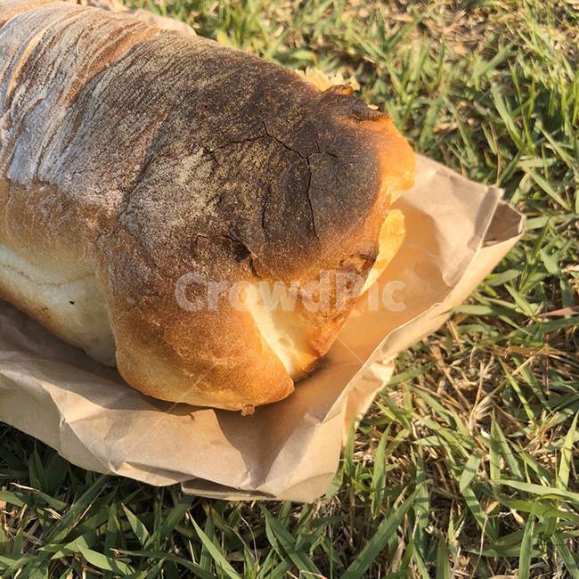 빵,bread,식품,food,식빵,음식,식재료,요리,food,cook,meal,dishes,food reserves,빵,bread