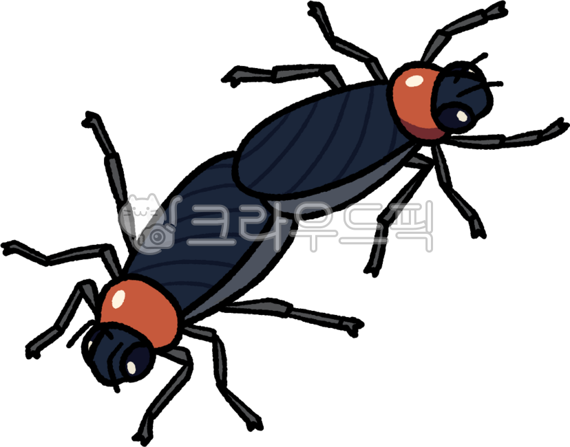 러브버그,붉은등우단털파리,곤충,동물,대발생,벌레