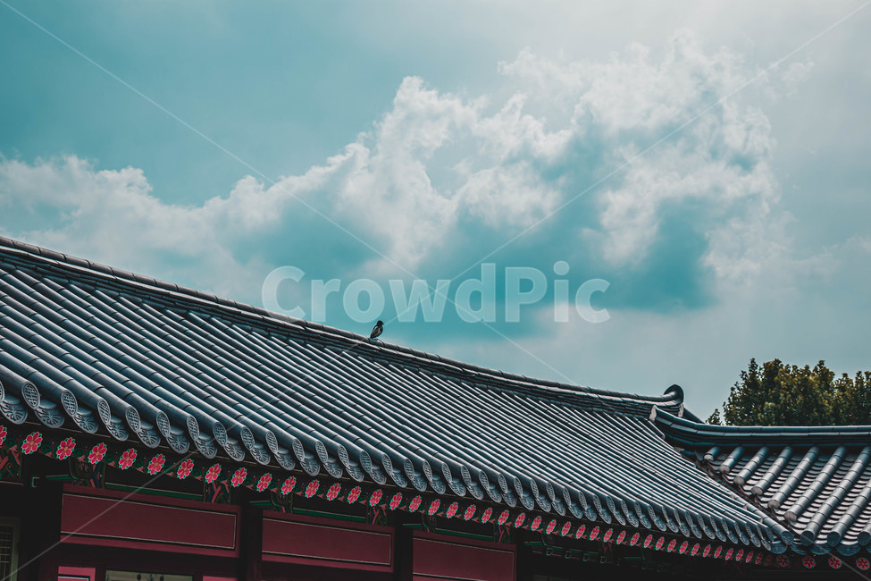 경복궁,느낌,감성,고풍스러운,한국,한국의미,한국전통,한국문화,korean traditional,korean culture
