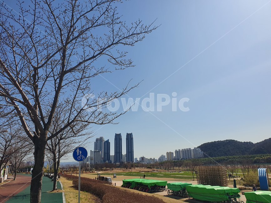 outdoors,옥외,대나무숲,잔디,자연,nature,plant,식물,tree,나무,공원,산책,대나무,숲,하늘,봄,봄날,오솔길,산책길,forest,sky,spring,park,road,sand,도시뷰,빌딩,building,cityview,울산,울산대공원,대공원