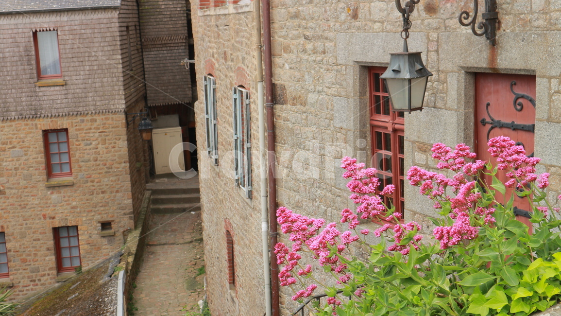성,castle,마을,village,꽃,flowers,몽생미쉘,montsaintmichel