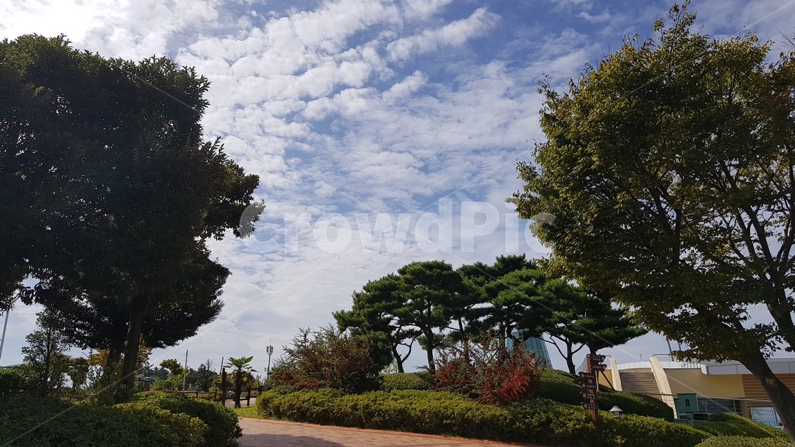 푸른하늘,자연,outdoors,옥외,nature,sky,하늘,구름,cloud,정원,garden,자연,풍경,nature,landscape