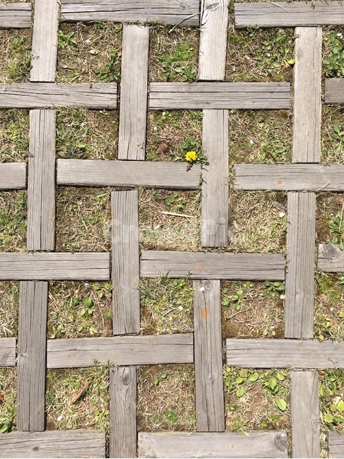 wood,나무,타일,패턴,체크