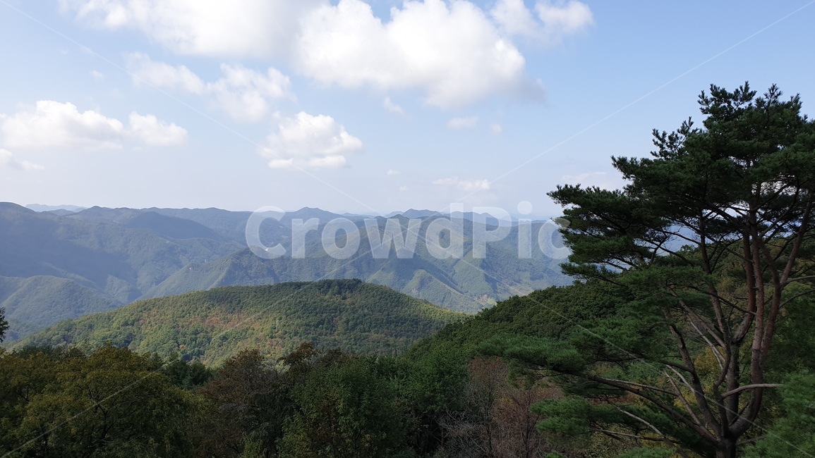 강원도,정선군,민둥산,등산,풍경,nature,자연,landscape,outdoors,자연,풍경,nature,landscape,옥외,hill,언덕