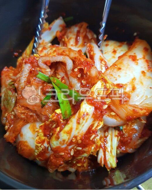 겉저리,배추김치,김치,밑반찬,배추,아삭아삭,식재료,집게,집개,반찬,밥반찬,밥도둑,식사,음식,요리,매콤한,매운음식,매운요리,한식,한국음식,한국요리,먹방,meal,food,dish,cook,koreanfood