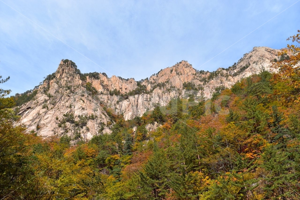 설악산,가을,단풍,풍경,백담사,구곡담계곡,수렴동계곡,계곡풍경,오색단풍,자연,스포츠,등산,산행,nature,느낌,아름다운,다큐,필,계절,디자인,힐링,명산,국립공원,순백,트레킹,단풍잎,오색,칼라풀,뷰티플,단풍터널,단풍숲,산객,등산객,그림같은,감성,절경,가을색,자연,풍경,nature,landscape,가을,계절,fall,autumn,season,tree,나무,plant,식물,fir,전나무,outdoors,옥외